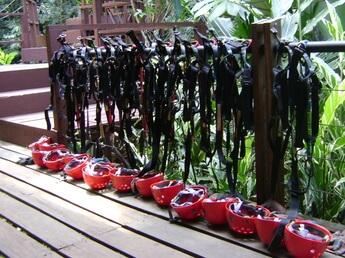 Zip lining Costa Rica Picture
