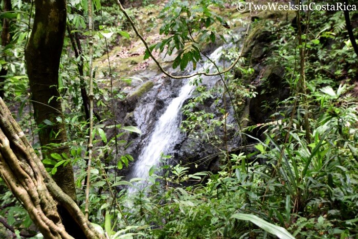 Waterfall Trail - Manuel Antonio National Park