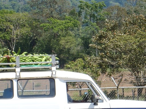 Bananas on top of a truck Costa Rica Picture