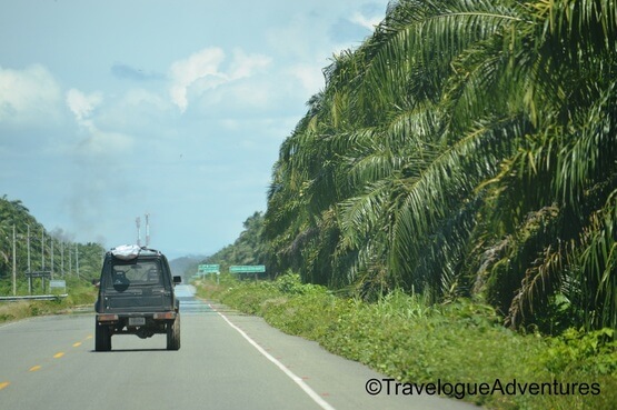 Highway in Costa Rica Picture
