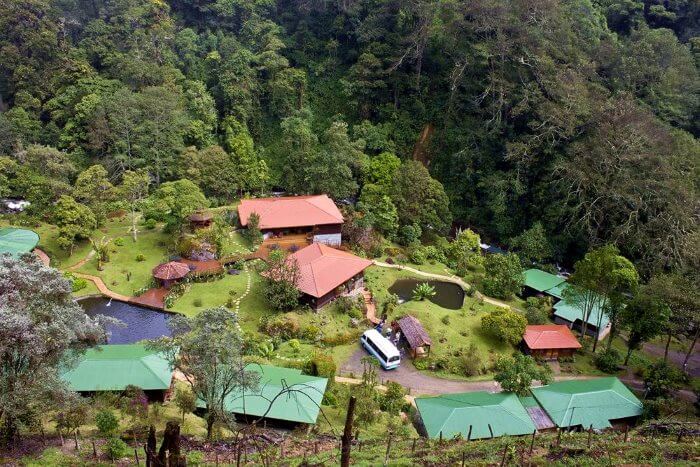 Trogon Lodge, San Gerardo de Dota | Two Weeks in Costa Rica