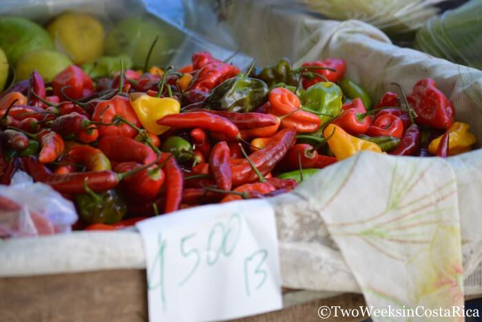 Hot Peppers at the Quepos Farmers Market | Two Weeks in Costa Rica