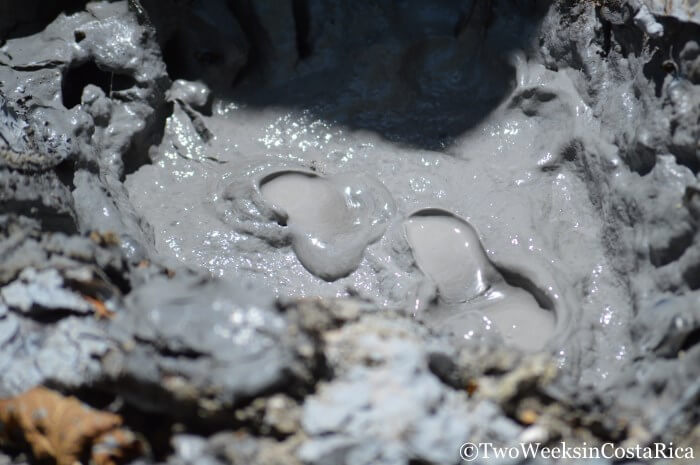 Bubbling mud pot at Rincon de la Vieja | Two Weeks in Costa Rica