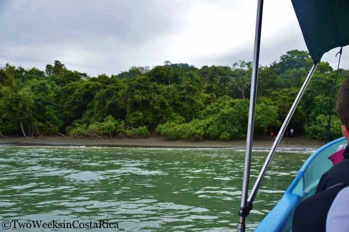 Spotting Costa Rica’s Most Spectacular Wildlife at Sirena Ranger Station | Two Weeks in Costa Rica