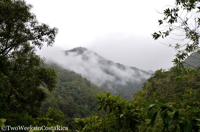 San Isidro del General | Two Weeks in Costa Rica