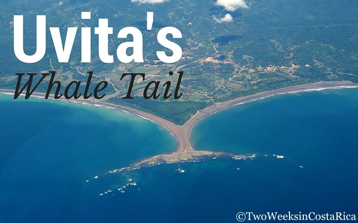 The Whale Tail at Uvita’s Marino Ballena National Park
