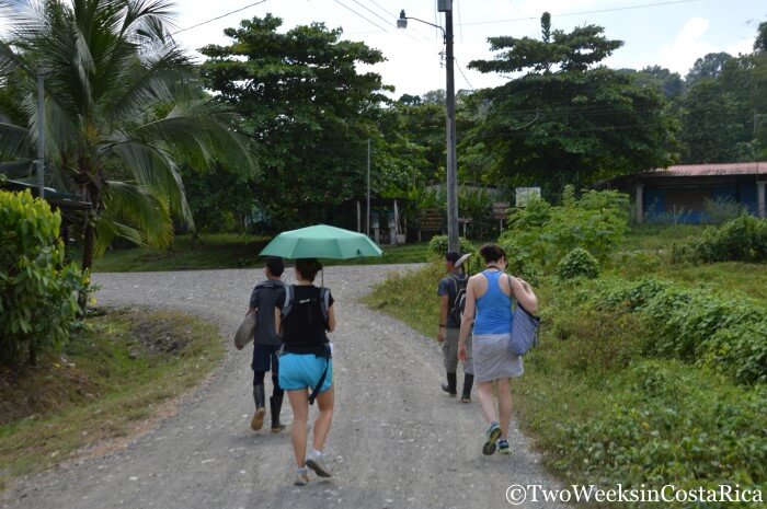 Corcovado’s El Tigre Entrance- Hiking and Activities from Puerto Jimenez | Two Weeks in Costa Rica