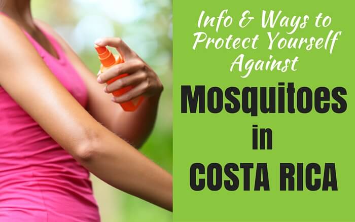 Costa Rica and Mosquitoes: Tips to prevent Zika, Dengue, and more | Two Weeks in Costa Rica