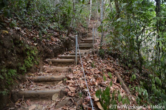 Montezuma Waterfalls: Best Ways to Access
