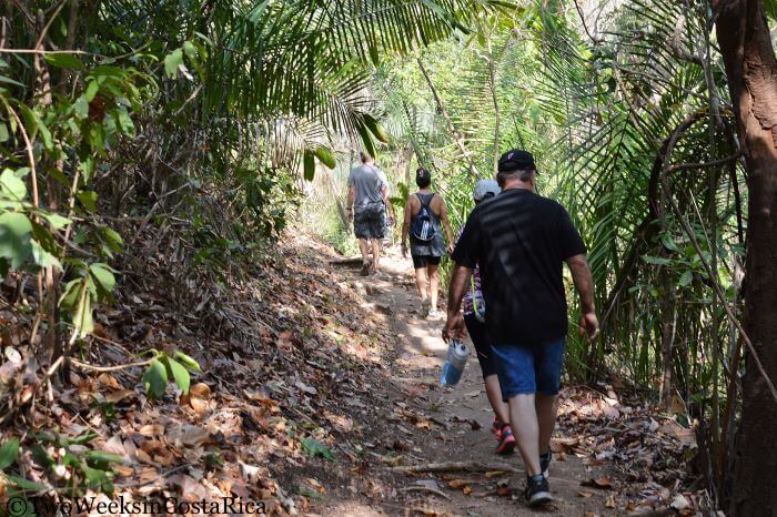 Samara Trails: Exploring the Tropical Dry Forest