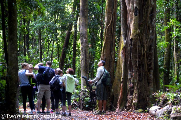 Curi Cancha Reserve - Avoiding the Crowds in Monteverde