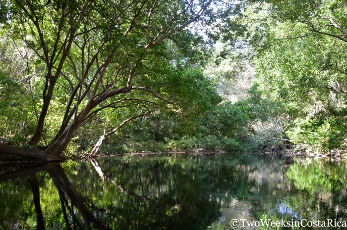 Lomas Barbudal Biological Reserve: An Oasis of Green in Guanacaste