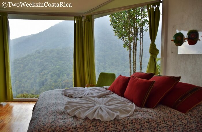 Hotels in San Gerardo de Dota, Costa Rica - Dantica Cloud Forest Lodge