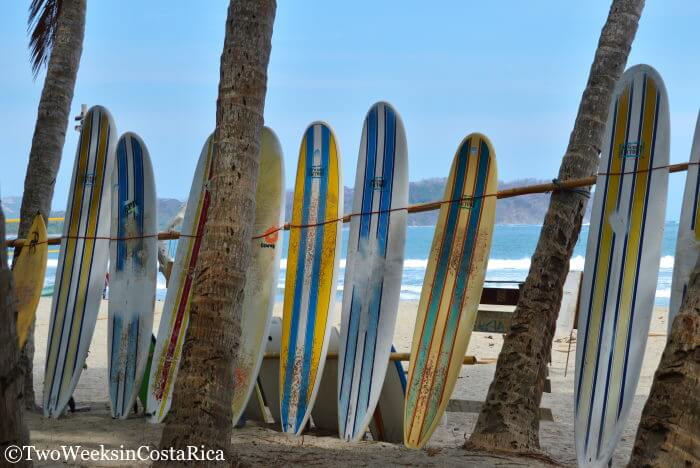 Surf Board Playa Samara