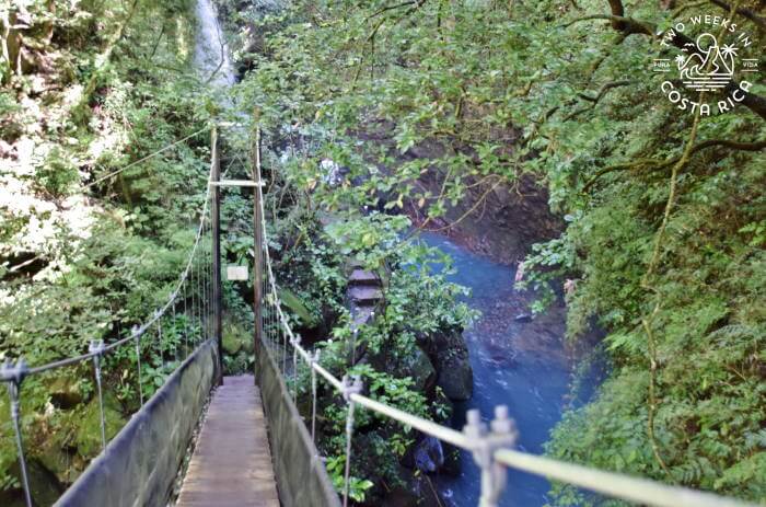 Hanging Bridge Trail to Oropendola Waterfall