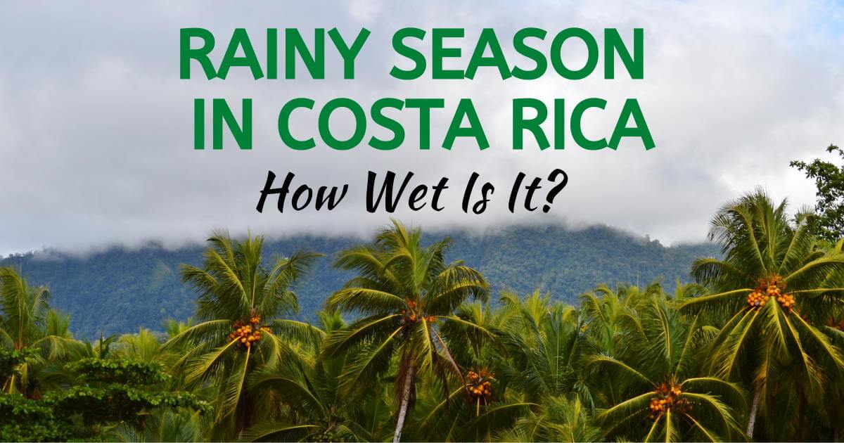Rainy Season in Costa Rica How Wet Is It? Two Weeks in Costa Rica