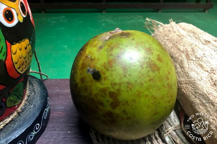 Jicara fruit Costa Rica