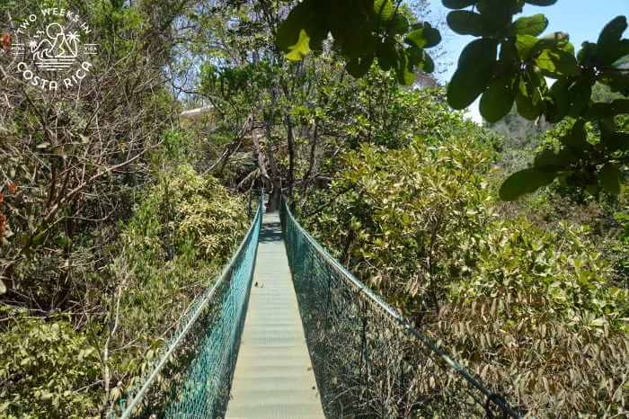 Hike with Hanging Bridges to Montezuma Waterfalls