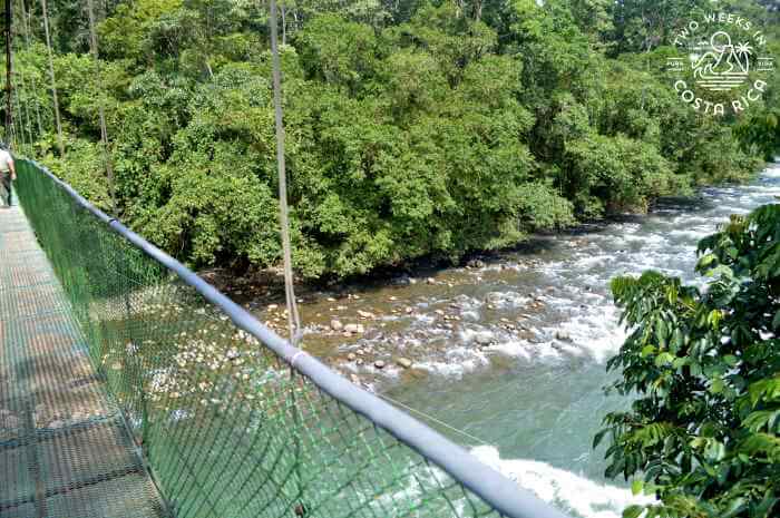 Hanging Bridge Tirimbina Reserve Sarapiqui