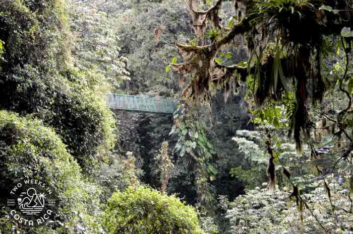 Sky Adventures Monteverde Hanging Bridges
