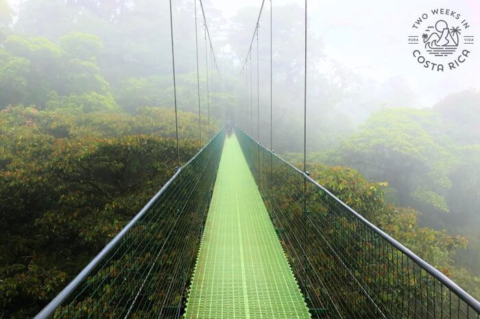 Sky Hanging Bridges Monteverde