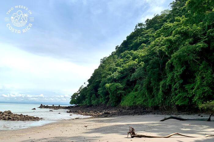 Rainforest-covered hill Playa Mantas
