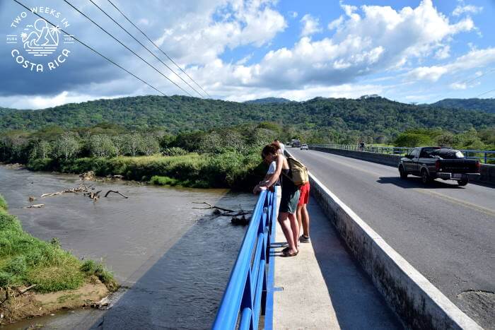 Tarcoles River Crocodile Bridge