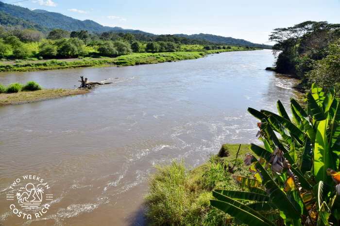 Tarcoles River Costa Rica