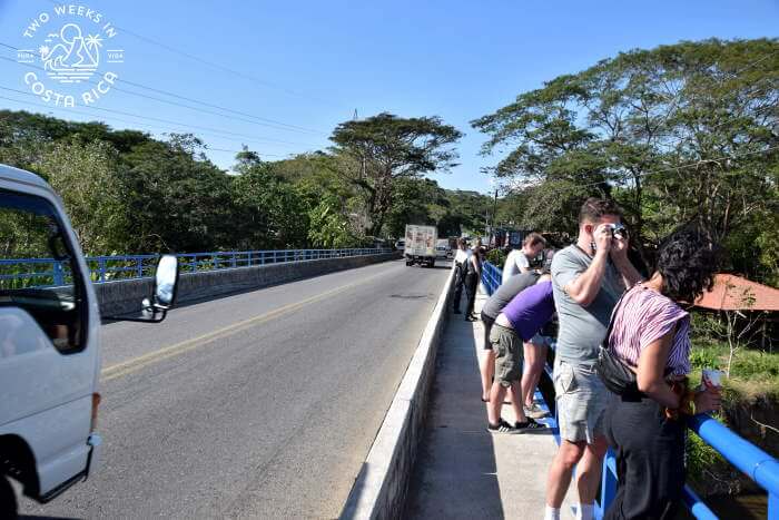 Tourists on Crocodile Bridge