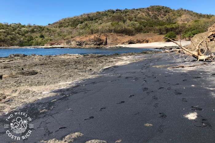 Black Sand Playa Carbon