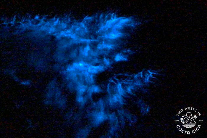 Bioluminescent glow from splashing