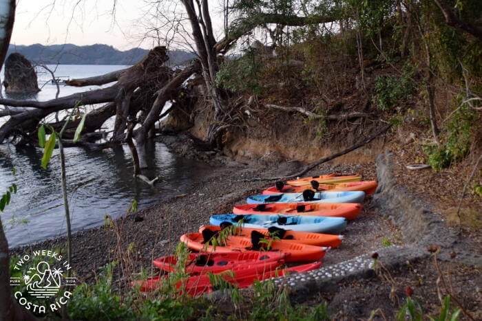 kayaks lined up on the shore