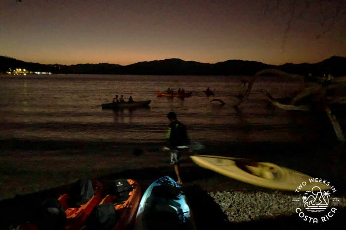 Bioluminescent Kayak Tour near Tambor