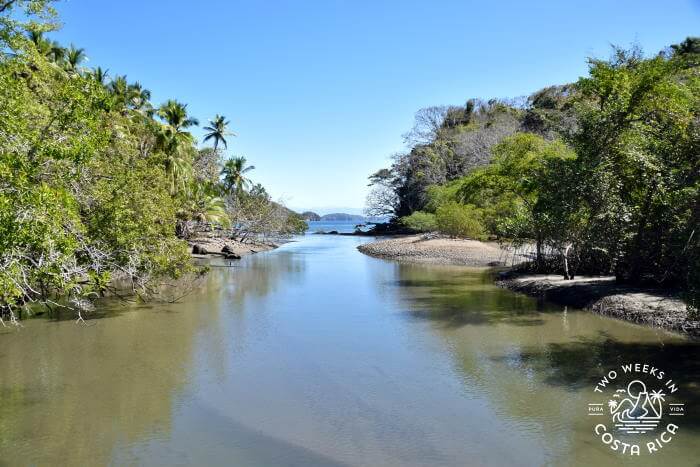 A tidal river flows into the Curu National Wildlife Refuge