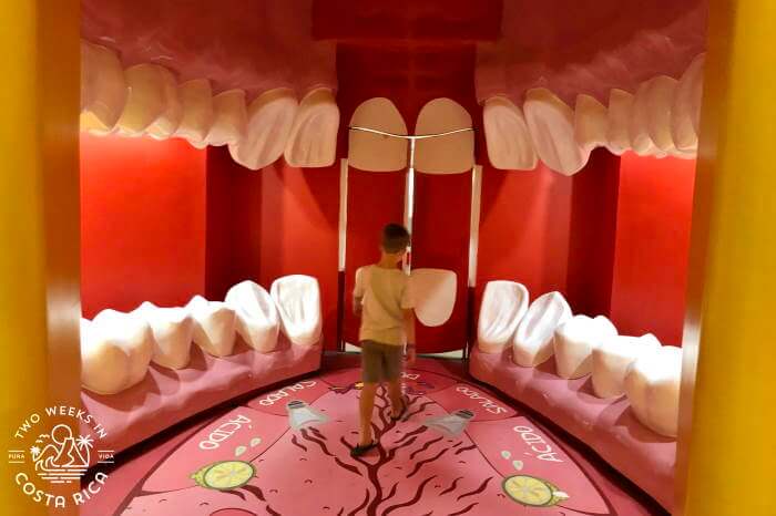 Dentist Exhibit Costa Rica Childrens Museum