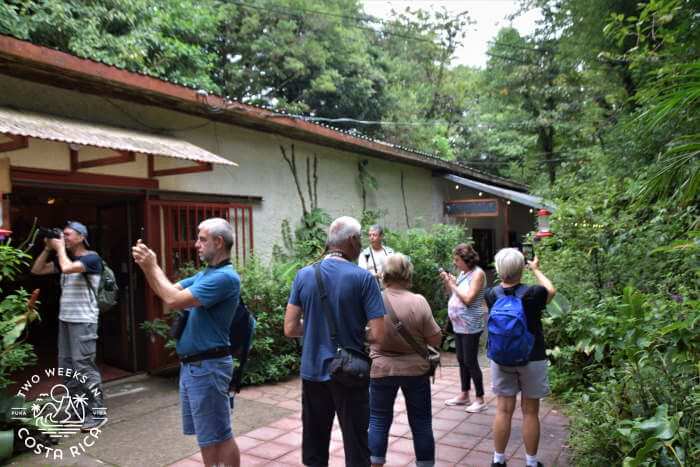 Feeders at Monteverde Hummingbird Gallery