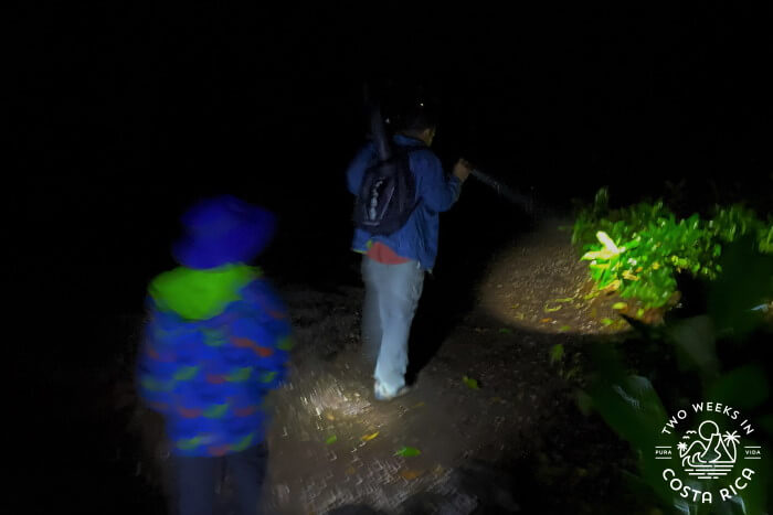 Night Walk Monteverde Wildlife Refuge