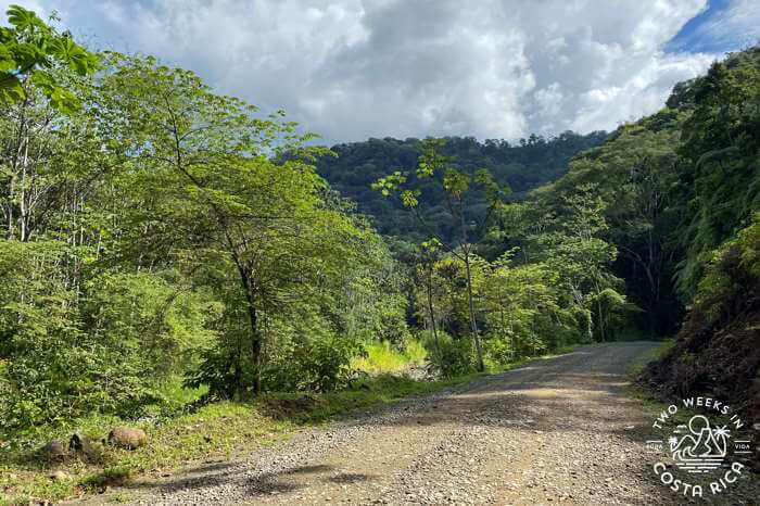 dirt road with jungle and clouds 