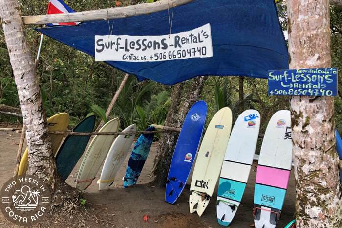 Surfboard rentals Dominicalito