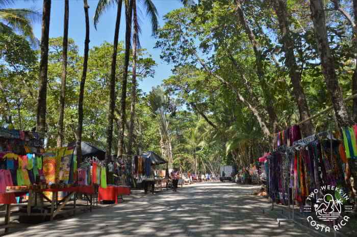 vendors set up under the shade of lofty palm trees