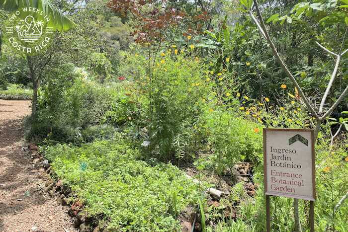 El Arca Botanical Garden Heredia