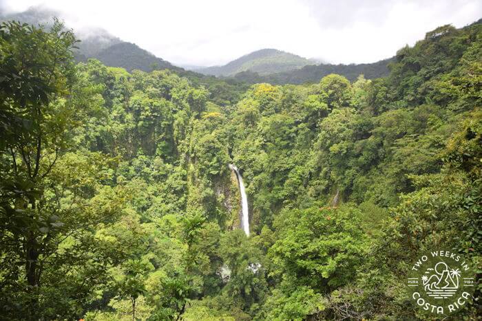 Long skinny waterfall dropping through green rainforest landscape