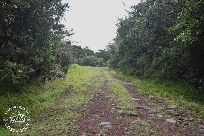 Road to El Jilguero Ecotourism Project