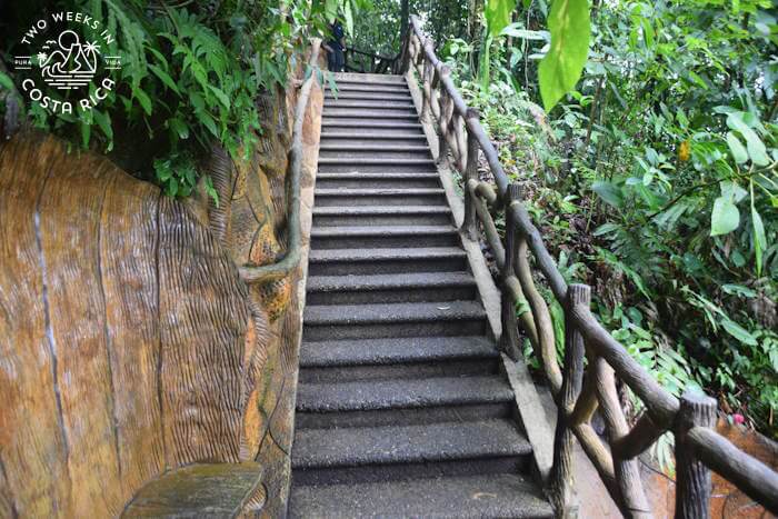 A concrete set of stairs with hand railing
