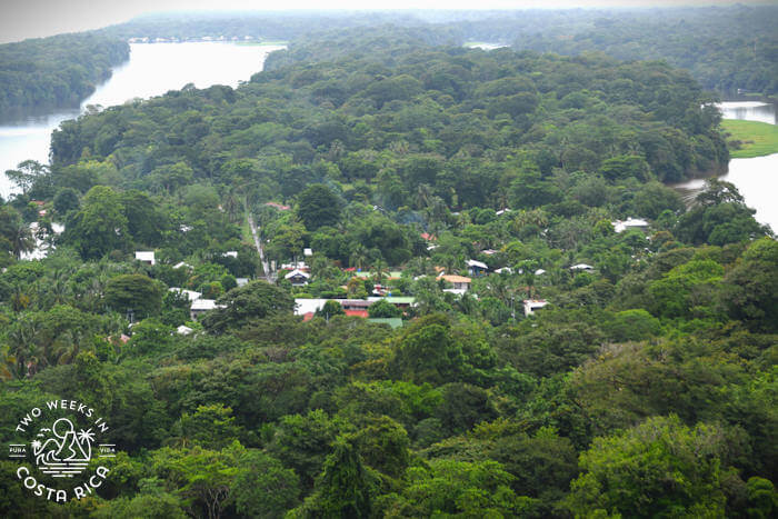 Cerro Tortuguero Viewpoint
