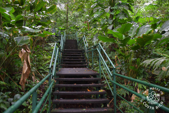 Stairs to Viewpoint