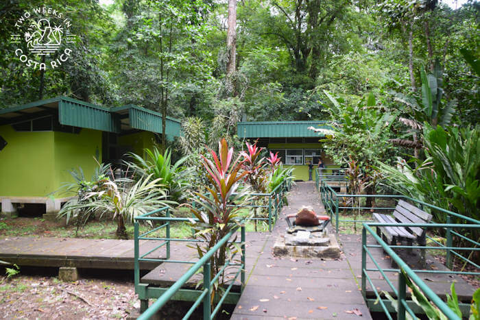 Official entrance Cerro Tortuguero