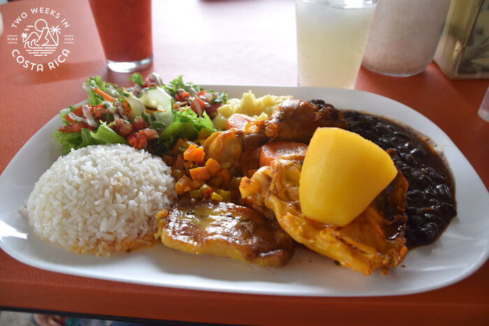 A full plate with rice, beans, chicken, vegetables, and a salad