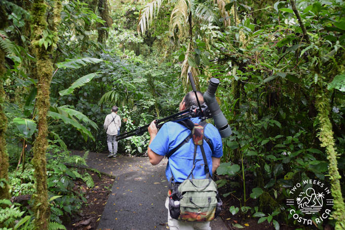 Guided Tour Santa Elena Cloud Forest Reserve
