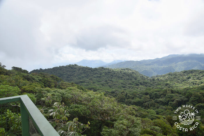 Observation Tower Santa Elena Reserve